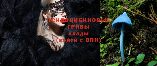 Альфа ПВП Осташков