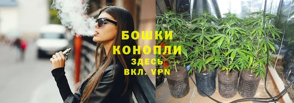 ECSTASY Всеволожск